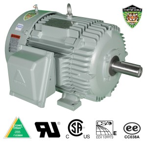 Hyundai Electric IEEE 841 Rigid Base Motor